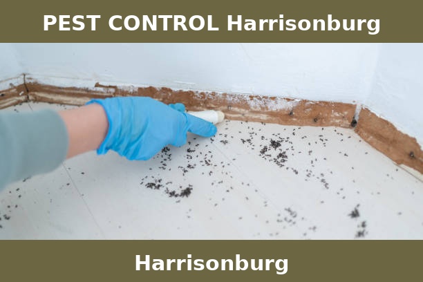 PEST CONTROL Harrisonburg